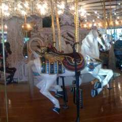 In Spokane to teach FRx and I'm about to ride this horse!