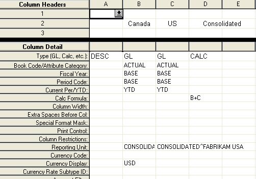 FRx column for translated consolidated income statement